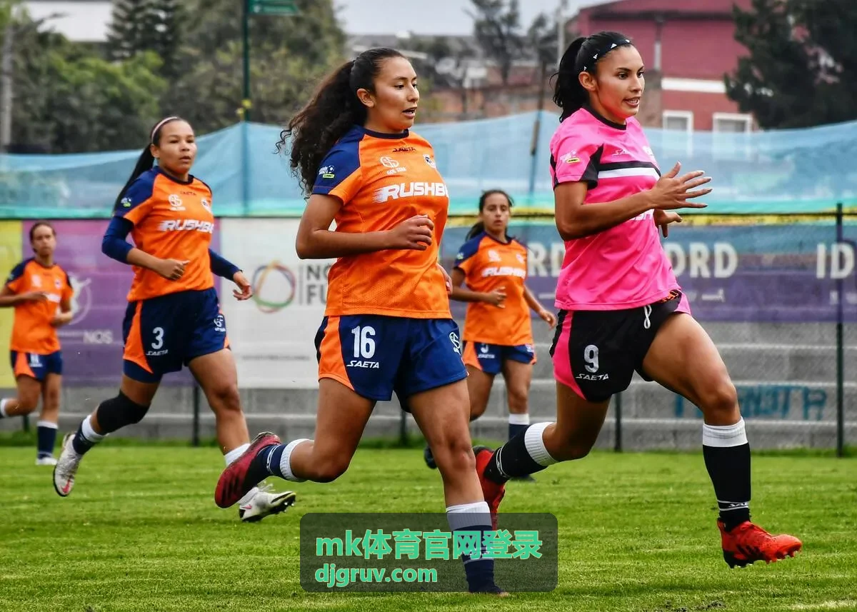 mk体育官网登录 票种权益与签到材料