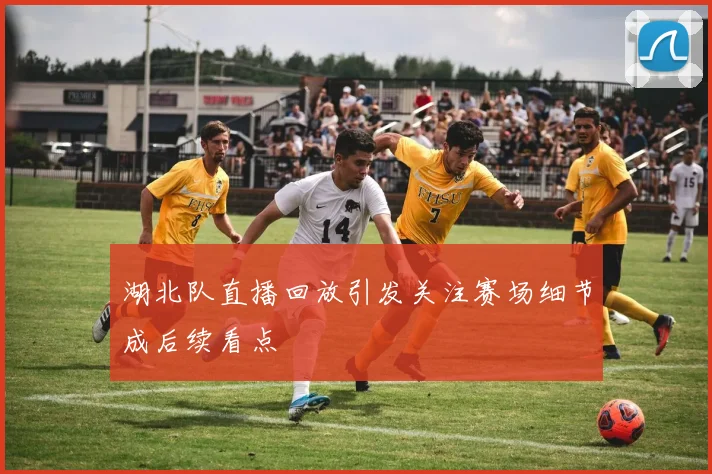 湖北队直播回放引发关注赛场细节成后续看点