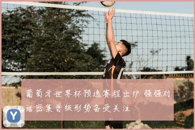 葡萄牙世界杯预选赛程出炉 强强对话密集晋级形势备受关注