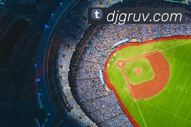 2018世界杯官网平台生态图